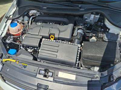 Volkswagen Polo 1.4 TDI 75cv 5 Porte -2015 Bianco usata CASTELLALTO