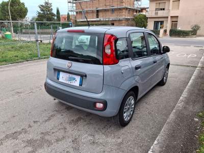 Fiat Panda 1.0 Hybrid - 2022 Grigio usata CASTELLALTO