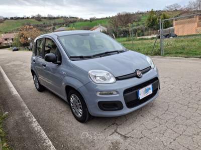 Fiat Panda 1.0 Hybrid - 2022 Grigio usata CASTELLALTO
