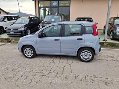 Fiat Panda 1.0 Hybrid - 2022 Grigio usata CASTELLALTO