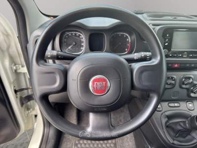 Fiat Panda 1.0 FireFly Hybrid Bianco usata Roma