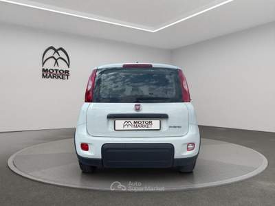 Fiat Panda 1.0 FireFly Hybrid Bianco usata Roma