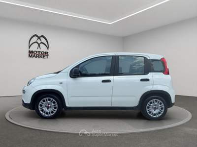 Fiat Panda 1.0 FireFly Hybrid Bianco usata Roma