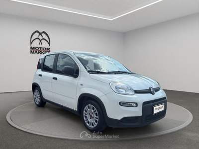 Fiat Panda 1.0 FireFly Hybrid Bianco usata Roma