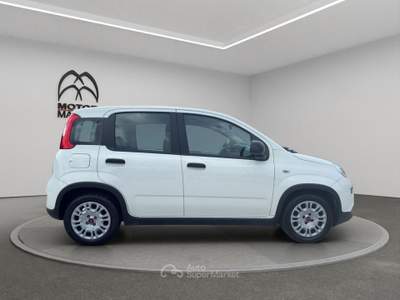 Fiat Panda 1.0 FireFly Hybrid Bianco usata Roma