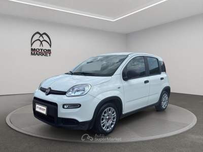 Fiat Panda 1.0 FireFly Hybrid Bianco usata Roma
