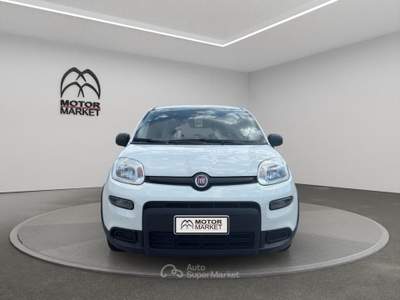 Fiat Panda 1.0 FireFly Hybrid Bianco usata Roma