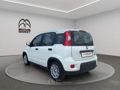 Fiat Panda 1.0 FireFly Hybrid Bianco usata Roma