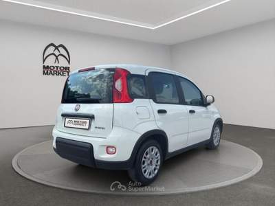Fiat Panda 1.0 FireFly Hybrid Bianco usata Roma