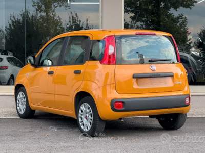 Fiat Panda FireFly S&S Hybrid usata Paese
