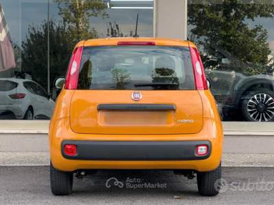 Fiat Panda FireFly S&S Hybrid usata Paese