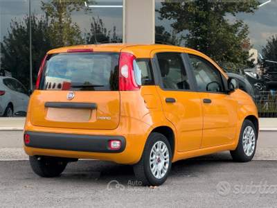 Fiat Panda FireFly S&S Hybrid usata Paese