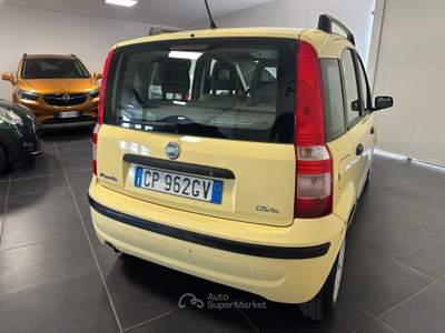 Fiat Panda NEOPATENTATI 69CV GARANZIA usata Anzio