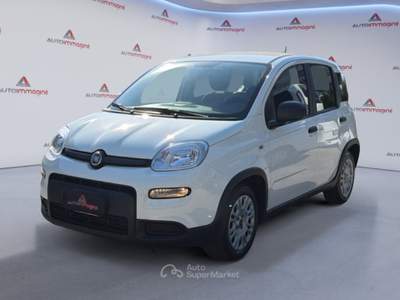 Fiat Panda 1.0 FireFly 70cv S&S Hybrid Bianco usata Cercola