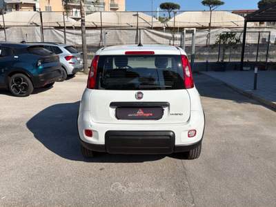 Fiat Panda 1.0 FireFly 70cv S&S Hybrid Bianco usata Cercola