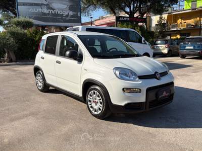 Fiat Panda 1.0 FireFly 70cv S&S Hybrid Bianco usata Cercola