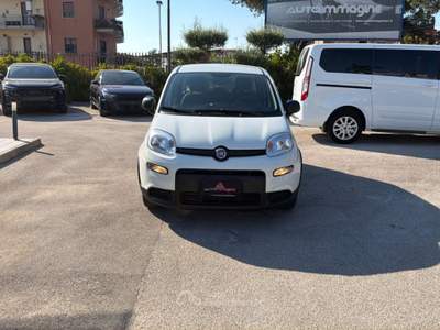 Fiat Panda 1.0 FireFly 70cv S&S Hybrid Bianco usata Cercola