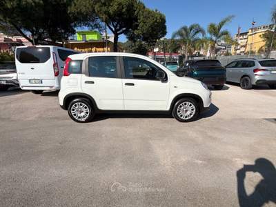 Fiat Panda 1.0 FireFly 70cv S&S Hybrid Bianco usata Cercola