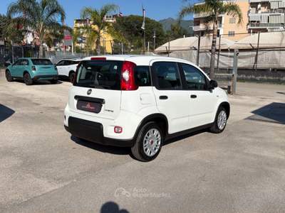 Fiat Panda 1.0 FireFly 70cv S&S Hybrid Bianco usata Cercola