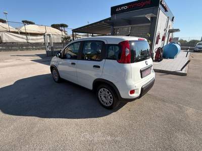 Fiat Panda 1.0 FireFly 70cv S&S Hybrid Bianco usata Cercola