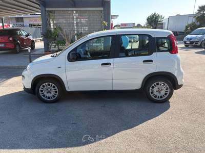 Fiat Panda 1.0 FireFly 70cv S&S Hybrid Bianco usata Cercola