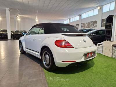 Volkswagen Maggiolino Maggiolino Cabrio 2.0 TDI Sport - CUP Special Edition Bianco usata Occhiobello