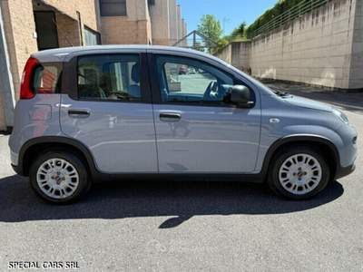 Fiat Panda Hybrid Grigio usata Formello