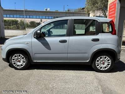Fiat Panda Hybrid Grigio usata Formello