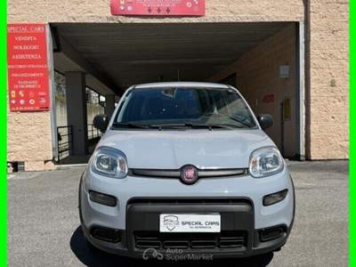 Fiat Panda Hybrid Grigio usata Formello