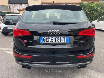 Audi Q5 SQ5 3.0 V6 TDI plus Biturbo quattro tiptronic Business Nero usata Prato