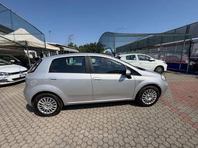 Fiat Punto Punto III 5p 1.3 mjt 16v Street (easy) 75cv Argento usata Torino