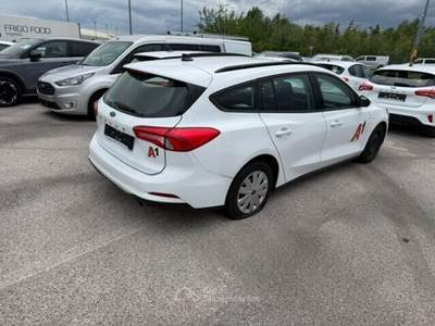 Ford Focus EcoBlue 120 CV SW Business Bianco usata Maserà di Padova