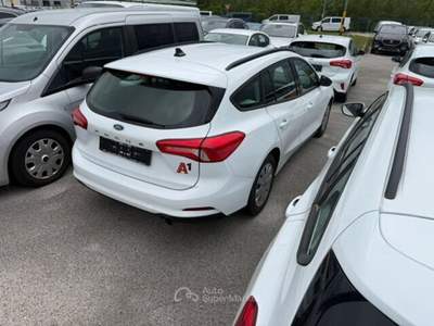 Ford Focus EcoBlue 120 CV SW Business Bianco usata Maserà di Padova