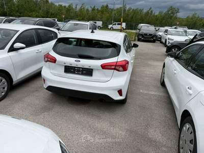 Ford Focus EcoBlue 95 CV 5p. Business Bianco usata Maserà di Padova