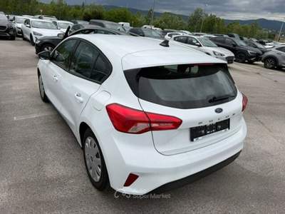 Ford Focus EcoBlue 95 CV 5p. Business Bianco usata Maserà di Padova