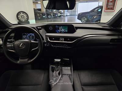 Lexus UX 250h 2.0 Business 2wd cvt my20 Beige usata Lonato del Garda