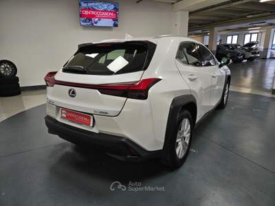Lexus UX 250h 2.0 Business 2wd cvt my20 Beige usata Lonato del Garda