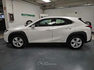 Lexus UX 250h 2.0 Business 2wd cvt my20 Beige usata Lonato del Garda