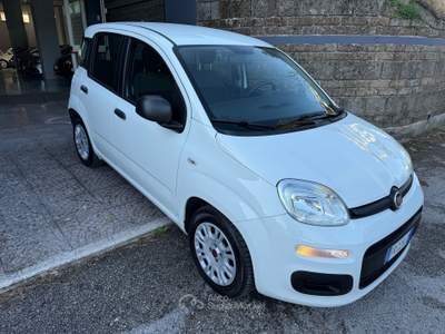 Fiat Panda EasyPower Lounge gpl Bianco usata Cesinali