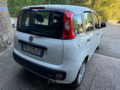 Fiat Panda EasyPower Lounge gpl Bianco usata Cesinali