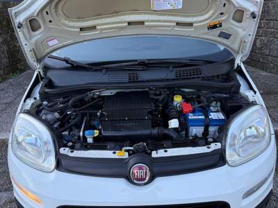 Fiat Panda EasyPower Lounge gpl Bianco usata Cesinali