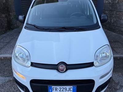 Fiat Panda EasyPower Lounge gpl Bianco usata Cesinali