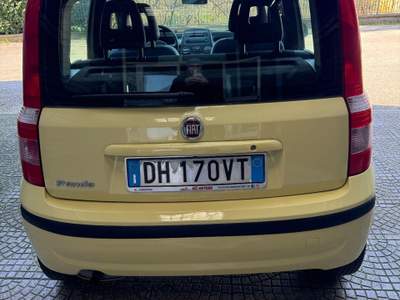 Fiat Panda Emotion Giallo usata Cesinali