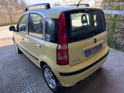 Fiat Panda Emotion Giallo usata Cesinali