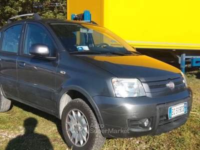 Fiat Panda 1.2 4x4 Climbing Grigio usata Forlimpopoli