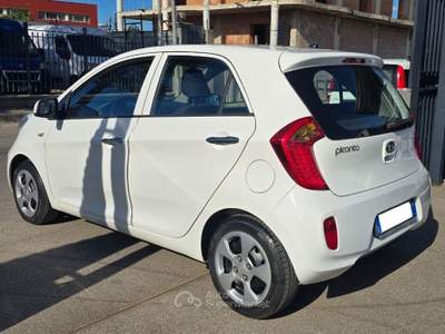Kia Picanto 1.0 12V EcoGPL 5 porte Glam Bianco usata Frattaminore