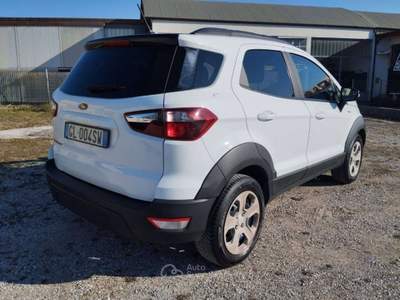 Ford EcoSport NEOPATENTATI PELLE EcoSport 1.0 Active TG : GL004S Bianco usata Basiliano