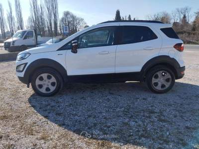 Ford EcoSport NEOPATENTATI PELLE EcoSport 1.0 Active TG : GL004S Bianco usata Basiliano
