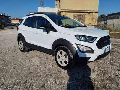Ford EcoSport NEOPATENTATI PELLE EcoSport 1.0 Active TG : GL004S Bianco usata Basiliano