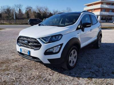 Ford EcoSport NEOPATENTATI PELLE EcoSport 1.0 Active TG : GL004S Bianco usata Basiliano